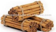 Cinnamon Bark extract/Cinnamomum japonicum Sieb.