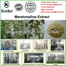 Marshmallow Leaf Extract/Althaca Rosea Extract