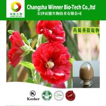 GMP factory supply 100% nature Marshmallow extract 10:1