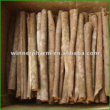High Quality Cinnamon Bark Water Extract Powder Polyphenols Flavone