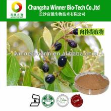 Cinnamon Extract in high quality 5:1 10:1 in plant extract
