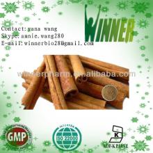 Cinnamon Bark Extract powder /10%-20% Flavone