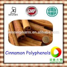 Good price Cinnamon bark extract powder / Cinnamon bark extract 10%-30% Polyphenols