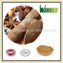 High quality Chinese Cinnamon Extract 10:1
