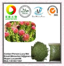 Althaea officinalis Leaf Marshmallow Leaf