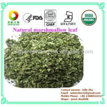 Good quality dry marshmallow  leaf ,althaea officinalis