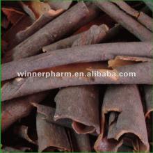 Cinnamon P.E. Powder Polyphenols Flavone