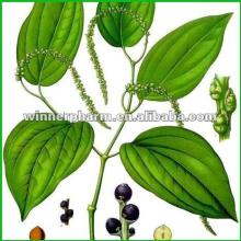 100% Pure Natural Black Pepper Essential oil / black pepper powder