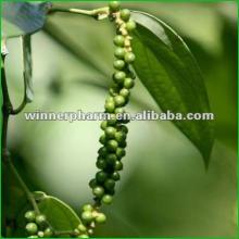 100% Pure Black Pepper Oil Essential oil