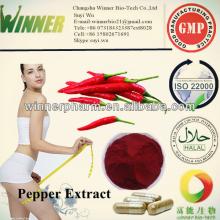 Pepper Extract/Capsicum Extract/Capsaicin/ Piperine