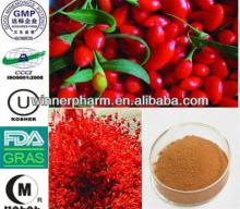 100% Natural  Lycium   Barbarum   Extract /Goji Berry P.E.