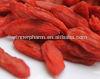 Super Quality Dried  Chinese   goji   berry 