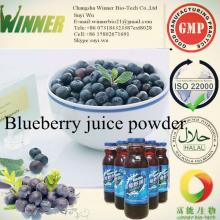 Blueberry juice powder / extract powder