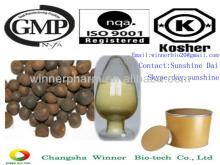 Tea seed extract powder - Tea Saponin 95%,98% water soluble