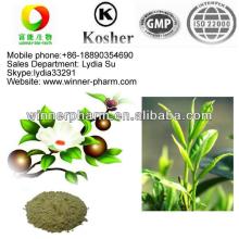 Tea   seed   extract  powder, Tea  Saponin50%,90% CAS No.8047-15-2