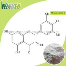 High quality (GMP Kosher) Dihydromyricetin 98%,Vine Tea Extract powder