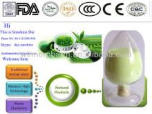green tea Extract Powder egcg 60%-98% chinese herb tea