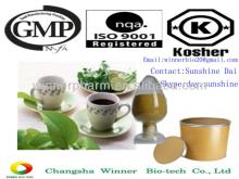 Natural  green   tea   polyphenols   Extract  Powder 50%-98%