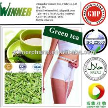green tea extraction polyphenols powder 50%-98%