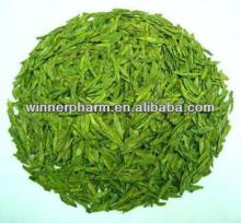 Green Tea Extract Powder/Tea Polyphenols powder