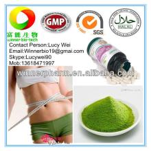 Green tea extract powder ,Tea polyphenols for slimming