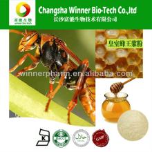 Hot Sale !!! GMP 100% Natural Royal Jelly Powder