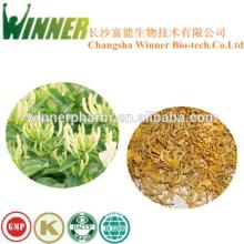High quality natural dried yellow honeysuckle flower