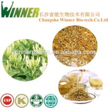 Honeysuckle flower,Dried  raw  Chinese  herbs , Dried flower