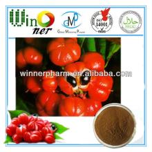 Guarana P.E./ Brazilian cocoa extract / Paullinia cupana / P. crysan / P. sorbilis extract