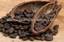 Theobromine --Cocoa P.E.