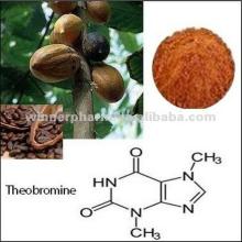 Cocoa extract Theobromine 20%