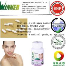 Fish scale collagen protein for skin care  product s