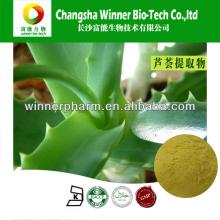 Aloe Extract (Barbaloin A 20%)