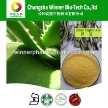 Aloe Extract /Barbaloin A 30%