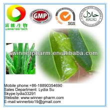 Aloe Vera Gel Freeze Dried Powder, Aloe Vera Leaf Extract Polysaccharides