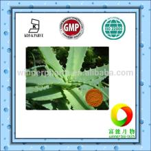 High quality Aloe vera Extract powder / 98% Aloe-emodin /CAS NO.481-72-1