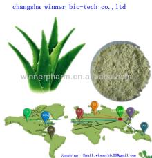 Aloe vera extract powder / aloe vera essential oil