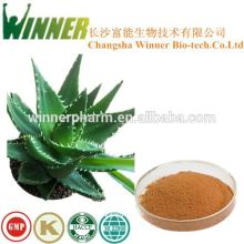 100% Natural Aloe Vera Extract/Aloe Vera Extract Plant/Aloe Extract Powder