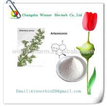 Sweet  Wormwood   Extract   Artemisinin  99% p.e. anti cancer