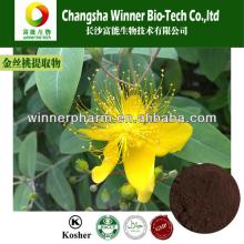 Hypericin/Hypericum extract/Hypericum perforatum L. P.E./hyperoside/ St.john's Wort Extract