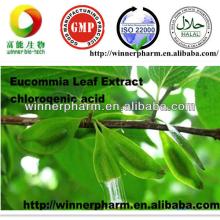 High quality Chlorogenic Acid /Eucommia Extract/CAS#327-97-9