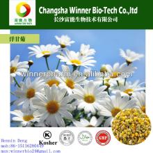 Dried flowers series,Chamomile Flower Tea,herbal tea,tasty and healthy