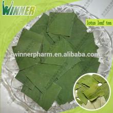 slimming lotus leaf tea