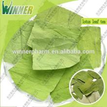 Lotus leaf herbal Tea expoter for lose weight herb and blood circulation tea