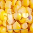 Yellow Maize Buyers