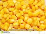 Yellow Corn For Animal Feed grade