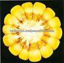 Yellow Corn prices for animal feeding