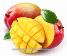 Excellent Quality Indian Mango pulp