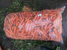fresh carrots