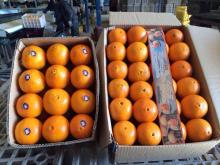 sweet orange